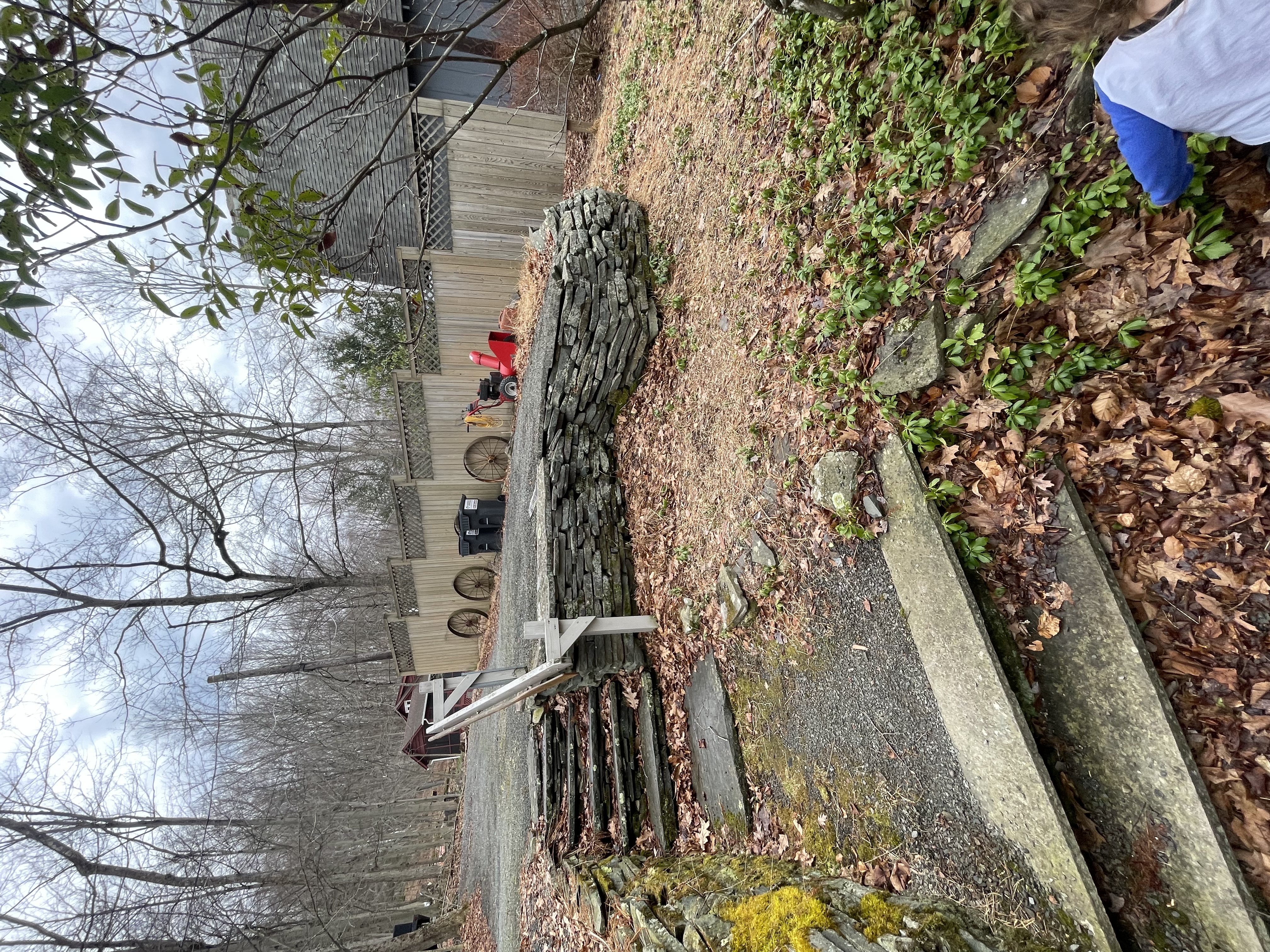 Steps and Retaining wall — before